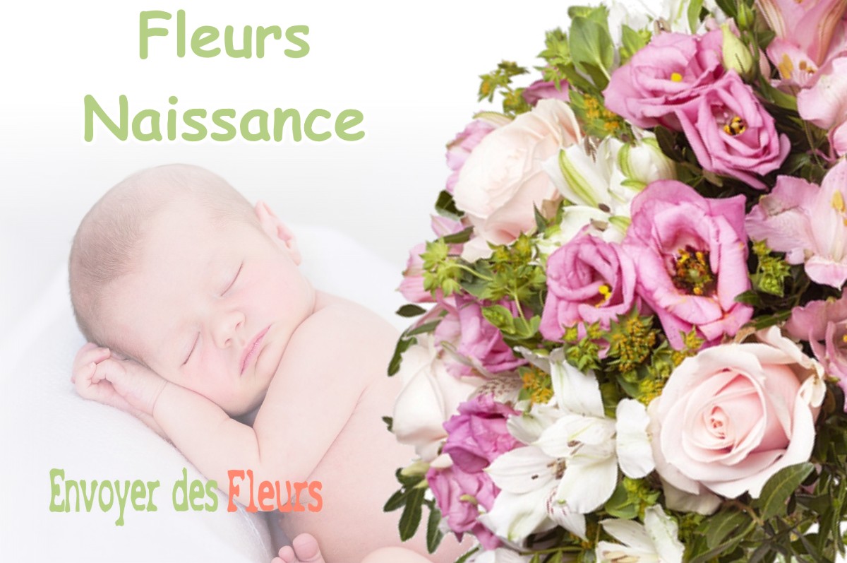 lIVRAISON FLEURS NAISSANCE à AVIGNONET-LAURAGAIS