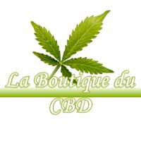 LA BOUTIQUE DU CBD AVIGNONET-LAURAGAIS 